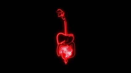 Neon Human Digestive System Glowing Anatomy Illustration, Futuristic Medical Concept, Bright Intestine and Stomach Diagram on Black Background, Sci-Fi Biology