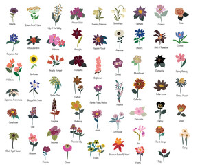 Set of Flowers & Florals Collection