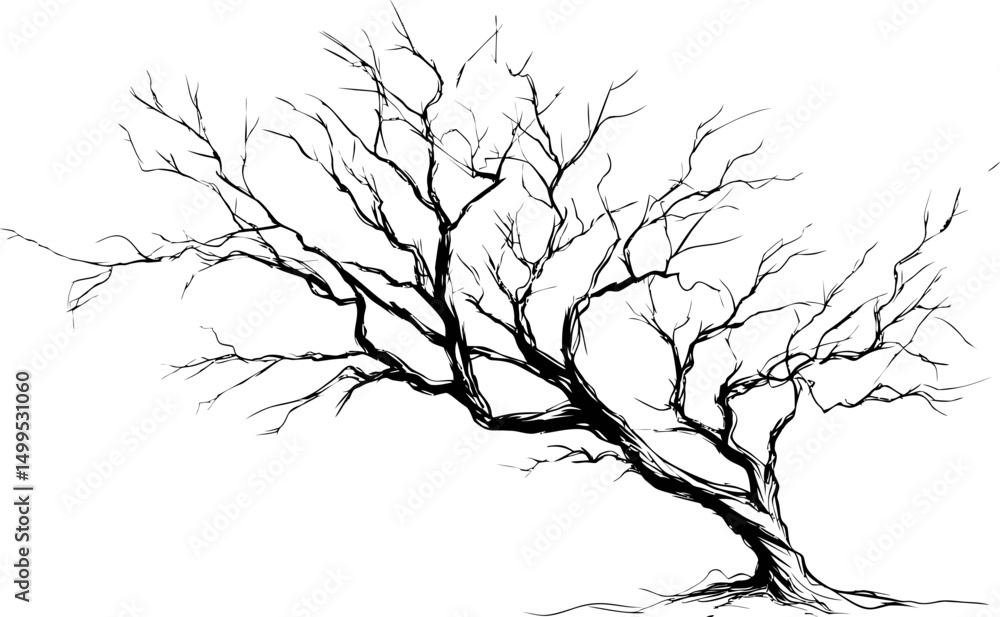 Aufkleber monochrome illustration of a leafless tree with intricate branches drawing. vector illustration