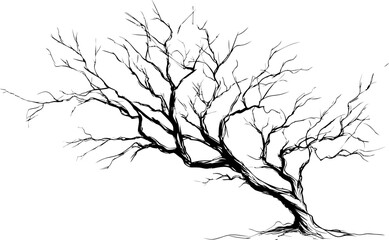 Fototapeta premium Monochrome illustration of a leafless tree with intricate branches drawing. Vector illustration
