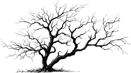Obraz premium Silhouetted barren tree with intricate branches illustration. Vector illustration