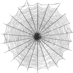 Obraz premium Intricate black and white spider web pattern with symmetrical design. Vector illustration
