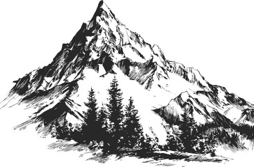 Black and white sketch of a mountain with pine trees in the foreground. Vector illustration