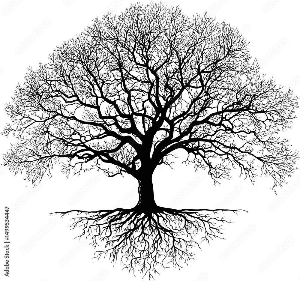 Aufkleber silhouette of a tree with bare branches and roots against. vector illustration