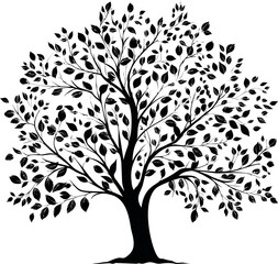 Obraz premium Beautiful black tree silhouette, botanical illustration. Vector illustration