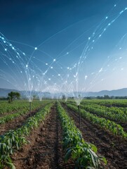 Low-angle view of irrigation system watering crops in field with digital network overlay, agriculture technology concept, rural farmland landscape