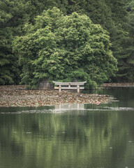 沈み鳥居