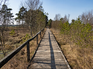 Ein Plankenweg führt durch die Landschaft im Pietzmoor in der Lüneburger Heide bei Schneverdingen, Deutschland
