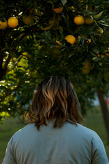 Long-haired man standing back to camera under the orange tree in Turkey.