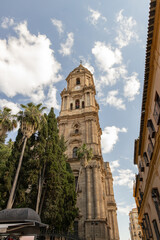 Fototapeta premium Santa Iglesia Catedral Basilica. Historic tower surrounded by palm trees and buildings under a bright blue sky with fluffy clouds in the background