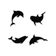 Dolphin Silhouette and Line Art Icon Set Vector Illustration of Marine Animals Isolated on White Background for Ocean Themed Designs