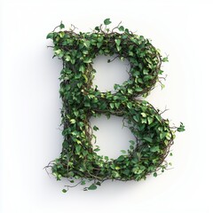 Letter B shaped made from tree branches organic nature concept, isolated white