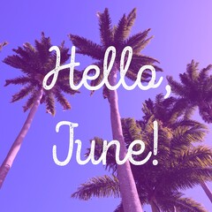 Hello June banner sign