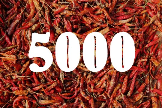 5000 number social media milestone celebration sign