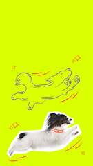 Fototapety na wymiar - Fototapeta24.pl