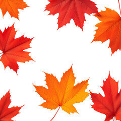 Fototapeta premium Autumnal maple leaves in shades of red and orange scattered on a black background creating a frame isolated with white background