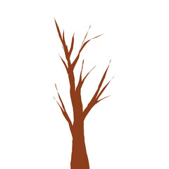tree isolated on white background
