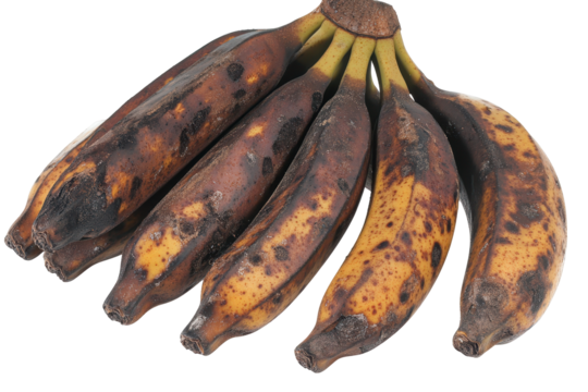 A bunch of overripe bananas, heavily bruised and spotted with brown discoloration, showing significant signs of age and decay against a black background