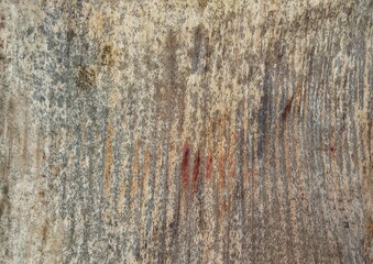 Close up of brown banana leaf surface texure background 