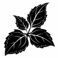Basil Leaf Sketch vector silhouette black on white background