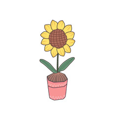 sunflower in a basket