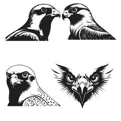 Peregrine Falcon bird face silhouette vector illustration set collection 