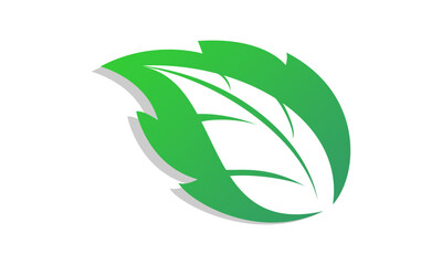 Single leaf icon design vector