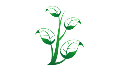 Plant leaves illustration design vector