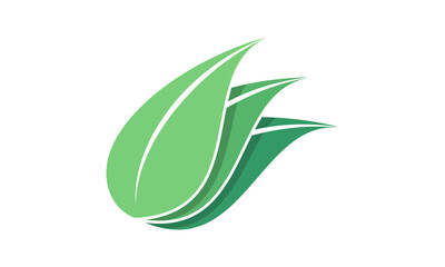 Three leaves with shadow design vector