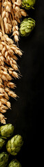 Raw Barley and Hops: Essential Ingredients for Craft Beer Brewing vertical banner - wide skyscraper - black background