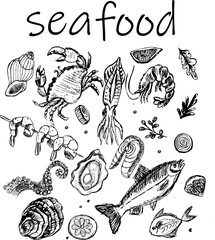 Various hand-drawn seafood illustrations including fish and shellfish  