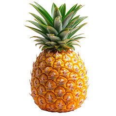 Isolated fresh pineapple whole fruit tropical food healthy eating diet on transparent background