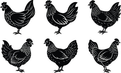 Silhouette of Rooster and chicken hen vector icon set illustration on white background. Chicken Logo icon set design concept. good for rooster restaurant and chicken farm. vector illustration

