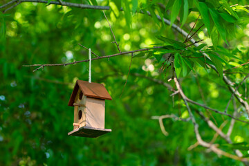Single bird house on a tree branch.
