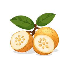 My very Simple flat 2D icon, sliced longan isolated on a white background, vector, flat design, animation design, simple flat 2D icon, minimalist design, vector design, eps