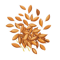 My Simple flat 2D icon flax seeds group isolated on transparent background, vector, flat design, animation design, simple flat 2D icon, minimalist design, clipart