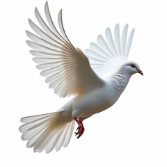 White dove flies isolated against transparent background. Bird of peace symbol. Freedom and spirituality concept. Cut-out element for design, religion, peace, love and hope themes.