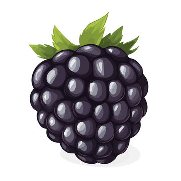 My Simple flat 2D icon whole blackberry isolated on transparent background, vector, flat design, animation design, simple flat 2D icon, minimalist design, clipart