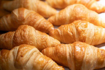 Assortment of freshly baked breads, beautifully arranged and ready to enjoy.