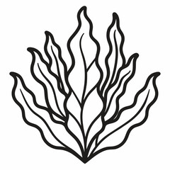 Kelp outline  icon on white background