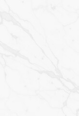 Close-up view of a white marble texture.