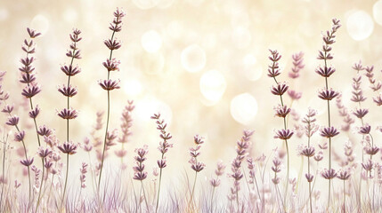 Delicate lavender flowers against a soft, dreamy bokeh background.