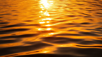 Golden sunset reflections on water surface, creating a serene atmosphere.