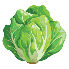a head of lettuce with delicate veins sitting gracefully