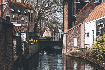 Obraz premium canal in bruges on a spring day with two swans swimming in the water