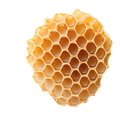 Closeup of isolated wooden beehive filled with hexagonal honeycomb on transparent background