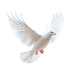 White dove gracefully flying with outstretched wings, isolated on transparent background, cutout PNG