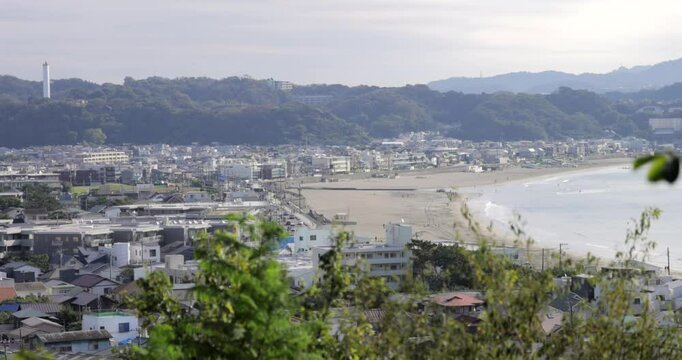 Upward tilt transitions from foreground vegetation to wide coastal landscape showing Kamakura city, beachline, and surrounding hills in a scenic daytime view