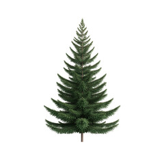 Minimalist christmas tree transparent background festive decoration nature indoor vertical viewpoint
