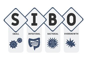 SIBO - Small Intestinal Bacterial Overgrowth acronym. medical concept background. vector illustration concept with keywords and icons. lettering illustration with icons for web banner, flyer, landing